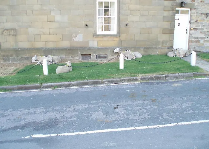 Maison d'hôtes Burnley House 4*