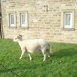 Burnley House بيت ضيافة