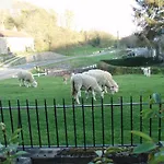 بيت ضيافة Burnley House Hutton le Hole
