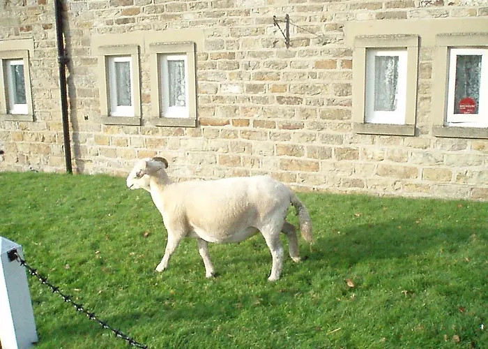 Burnley House Guest house