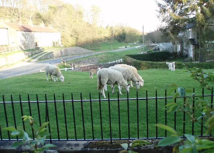 Guest house Burnley House Hutton le Hole