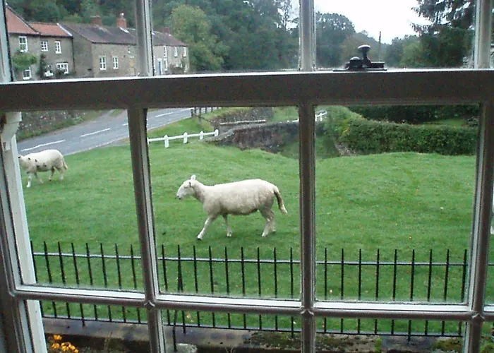 Burnley House Guest house 4*