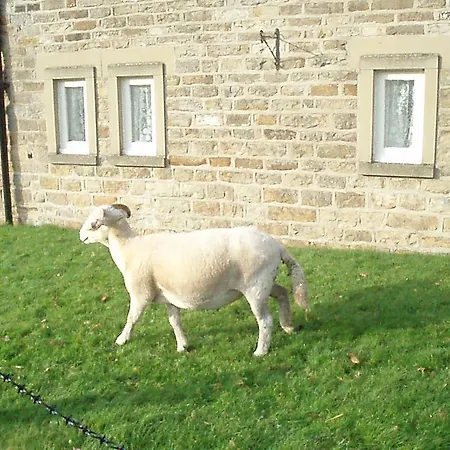 Burnley House Konukevi